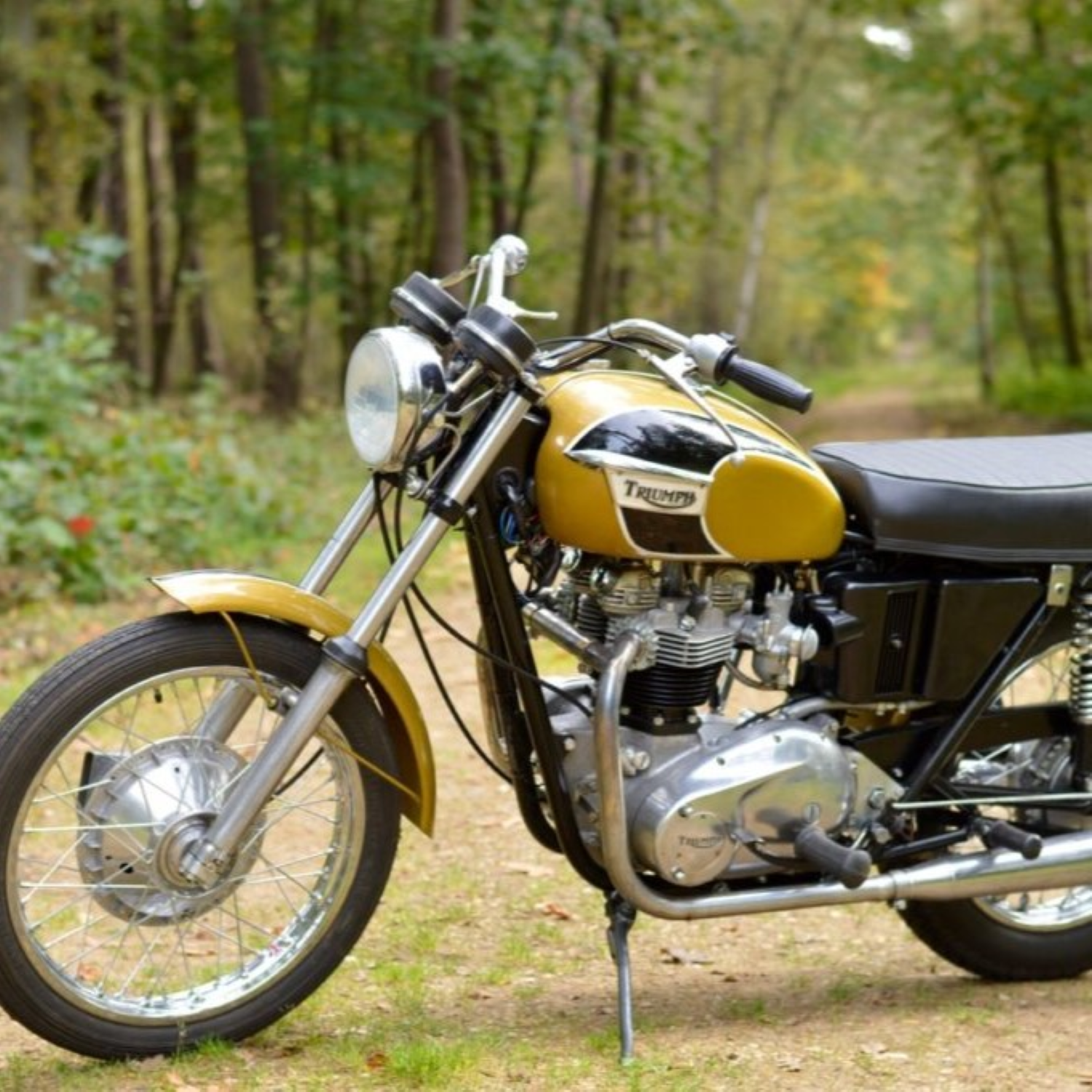 Tiger Gold Paint Triumph Tiger Gold Paint Product